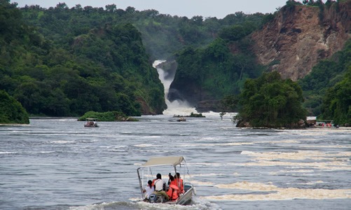 Proposed Magical 7 Days safari in Uganda, one week holiday vacation  Cover Image